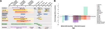 Developmental Neuropathology and Neurodegeneration of Down Syndrome: Current Knowledge in Humans